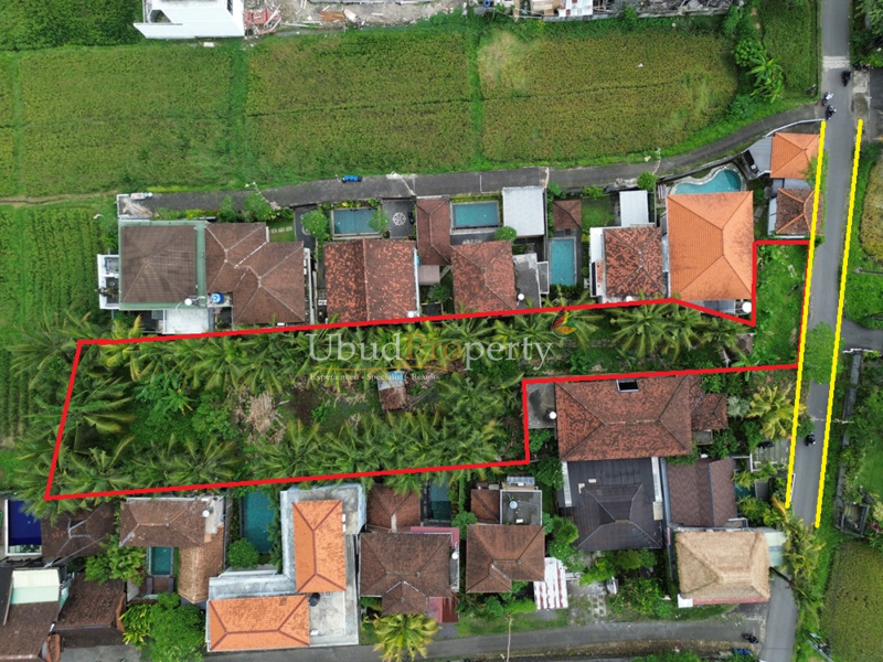 Land For Sale Freehold in Ubud Bali