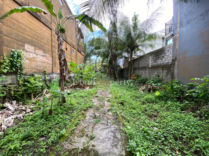 Ubud Property Land For Sale in Ubud Bali