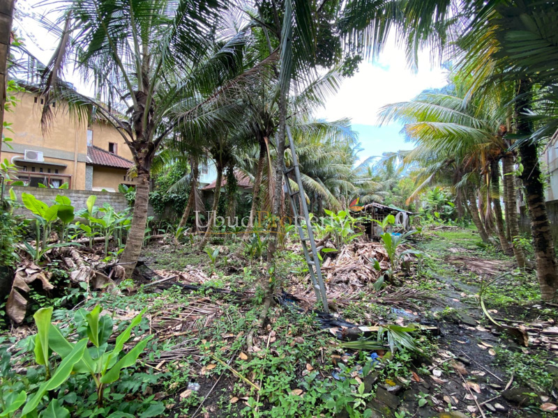 Ubud Property Land For Sale in Ubud Bali