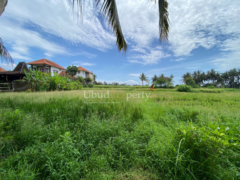 Ubud Property Land For Sale in Ubud Bali