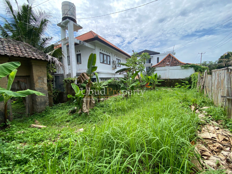 Ubud Property Land For Sale in Ubud Bali