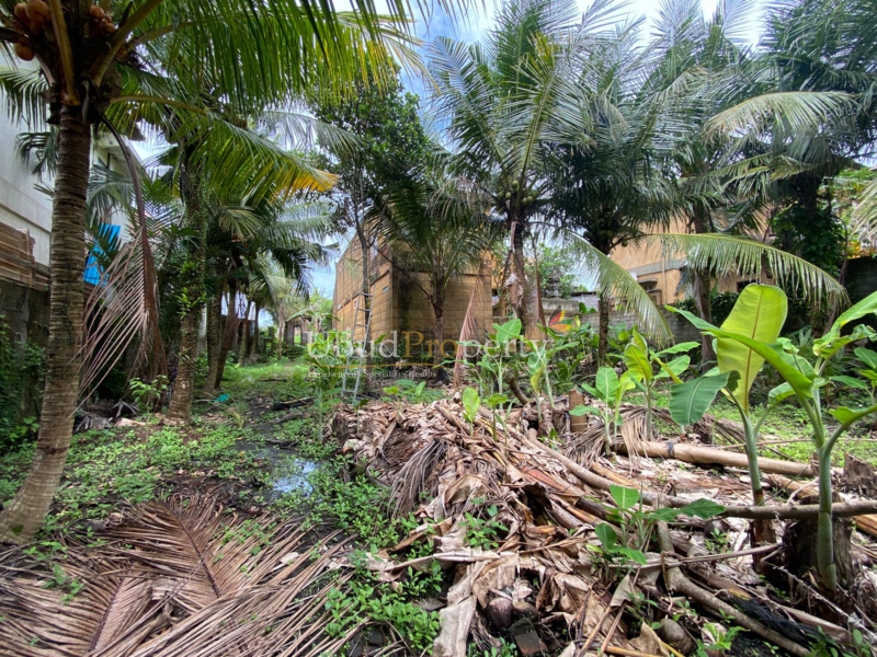 Ubud Property Land For Sale in Ubud Bali