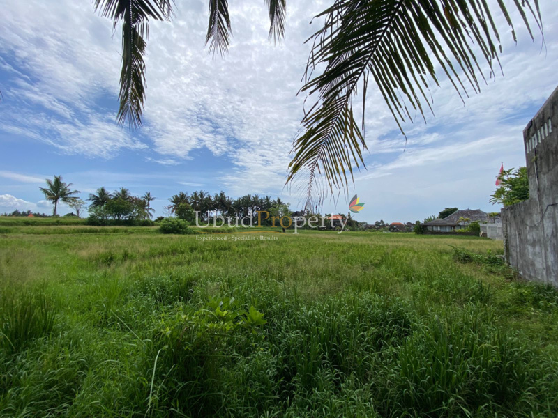 Ubud Property Land For Sale in Ubud Bali