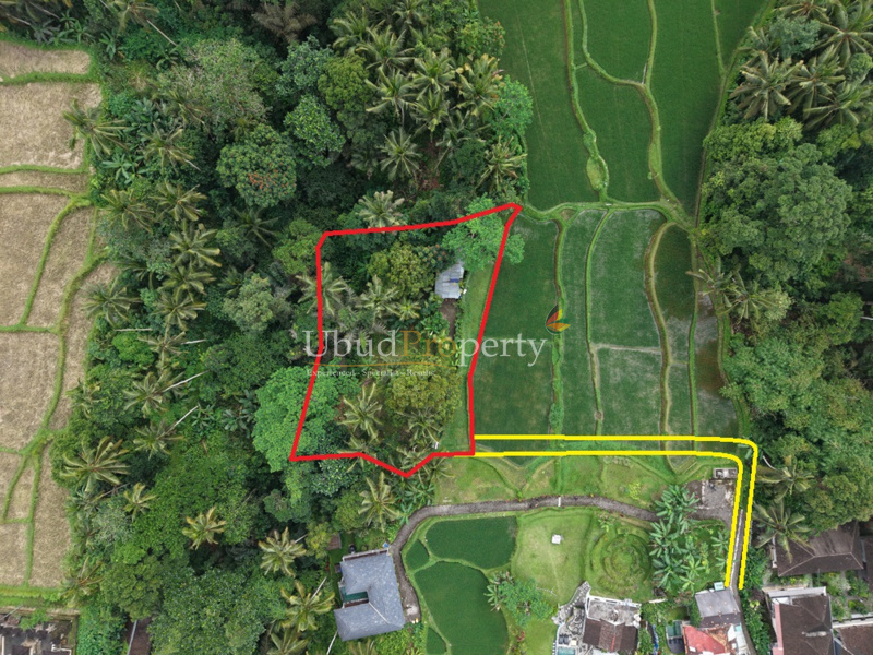 Land For Sale Leasehold in Ubud Bali