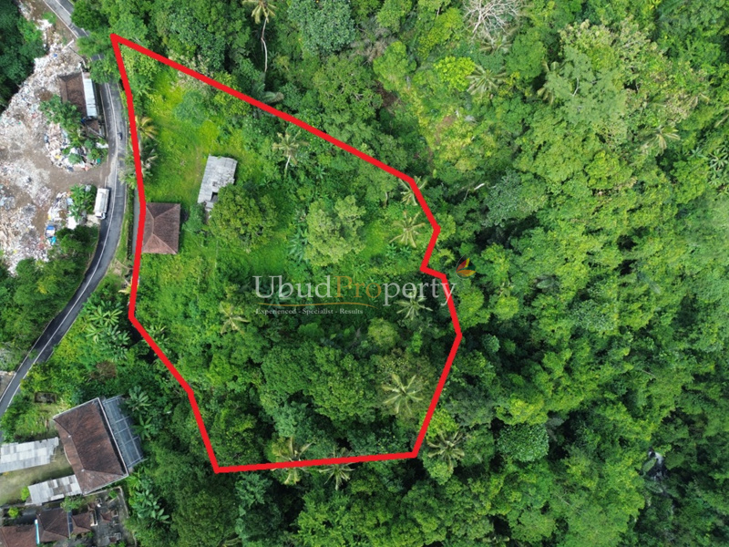 Land For Sale Leasehold in Ubud Bali