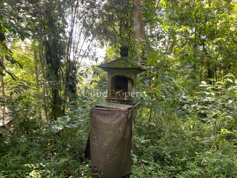 Ubud Property Land For Sale in Ubud Bali