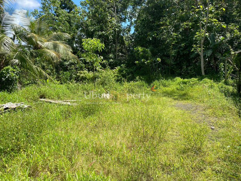 Ubud Property Land For Sale in Ubud Bali