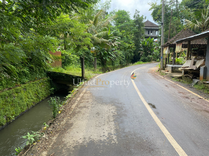 Ubud Property Land For Sale in Ubud Bali