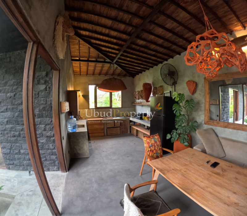 Ubud Property Villa For Lease in Ubud Bali