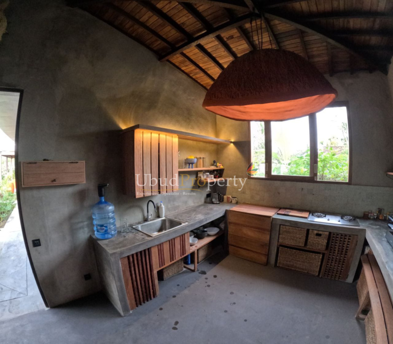 Ubud Property Villa For Lease in Ubud Bali
