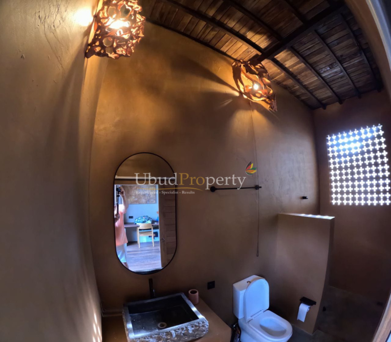 Ubud Property Villa For Lease in Ubud Bali