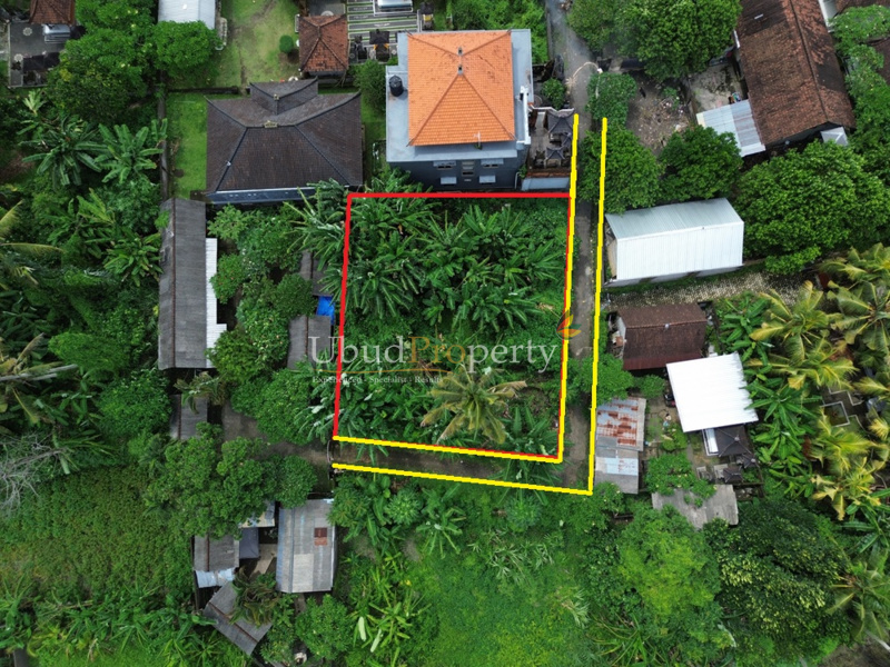 Land For Sale Freehold in Ubud Bali