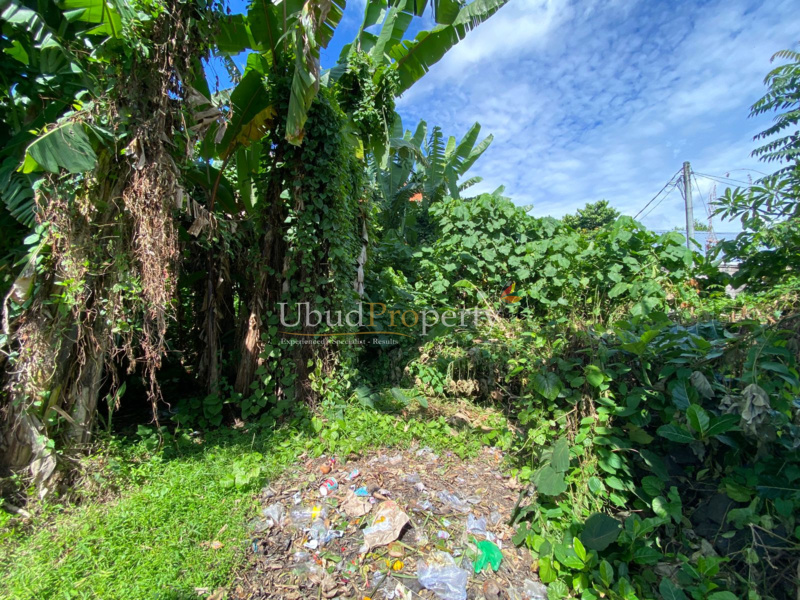 Ubud Property Land For Sale in Ubud Bali