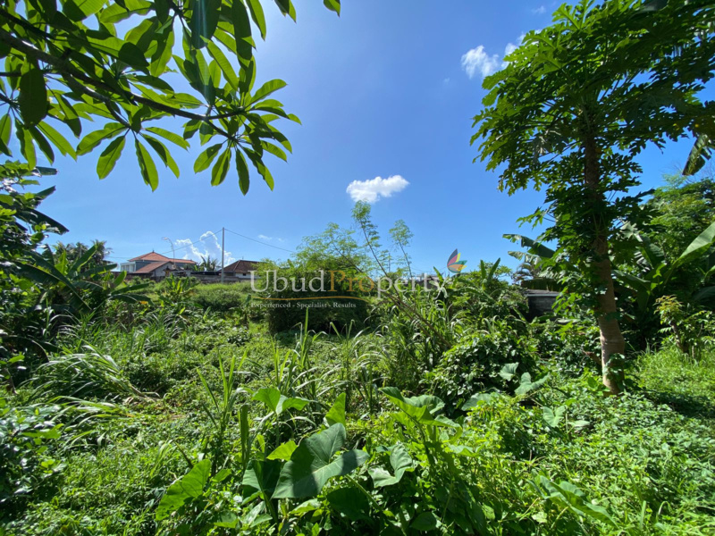 Ubud Property Land For Sale in Ubud Bali