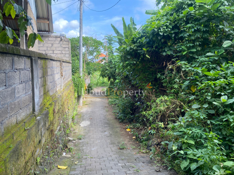 Ubud Property Land For Sale in Ubud Bali