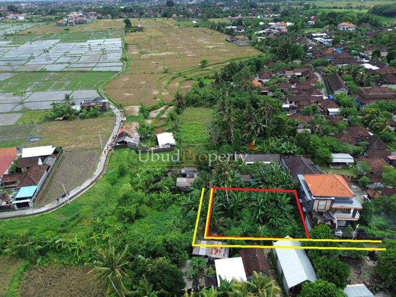 Ubud Property Land For Sale in Ubud Bali