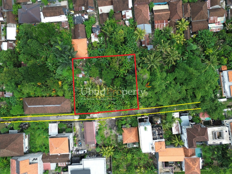 Land For Sale Leasehold in Ubud Bali