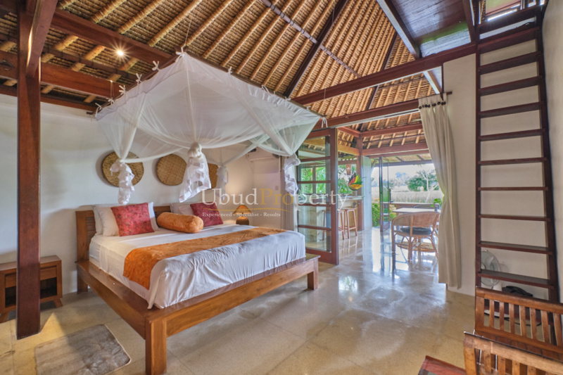 Ubud Property Villa For Sale in Ubud Bali