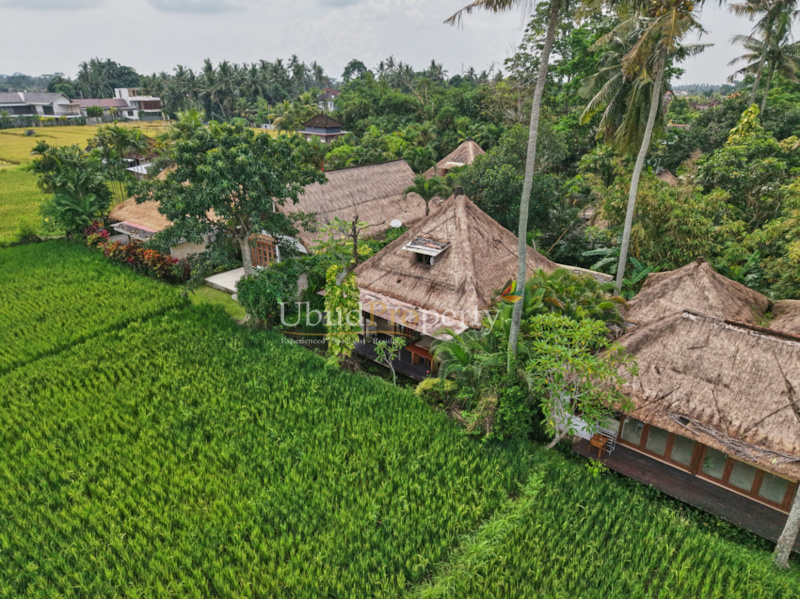 Villa For Sale Leasehold in Ubud Bali