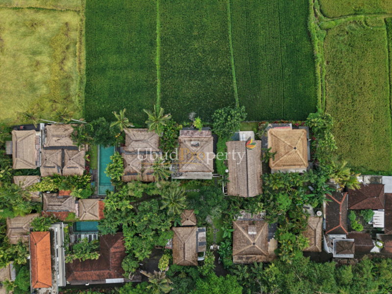 Ubud Property Villa For Sale in Ubud Bali