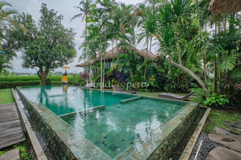 Ubud Property Villa For Sale in Ubud Bali