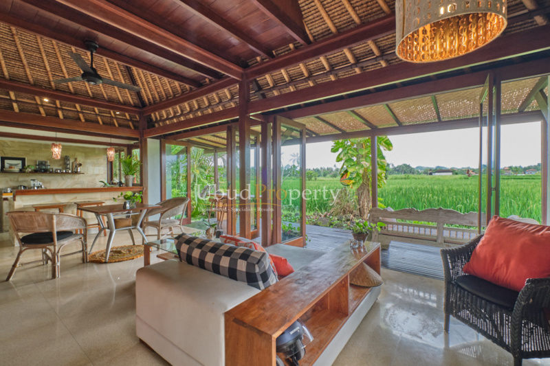 Ubud Property Villa For Sale in Ubud Bali