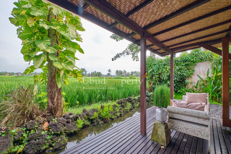 Ubud Property Villa For Sale in Ubud Bali