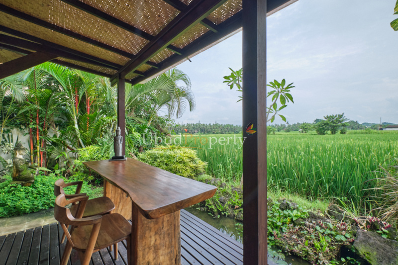 Ubud Property Villa For Sale in Ubud Bali