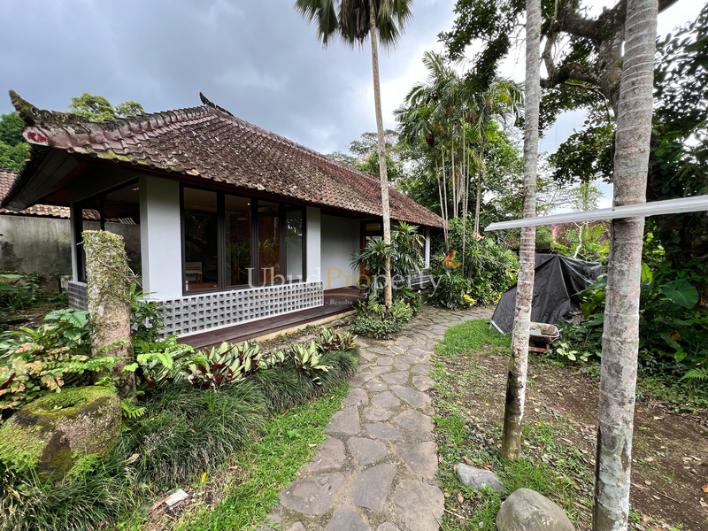 Ubud Property Villa For Sale in Ubud Bali