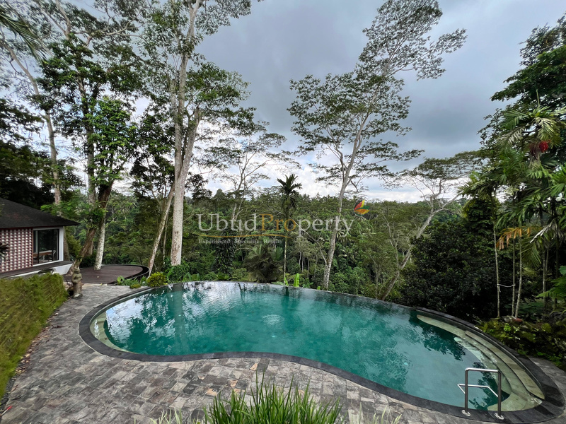 Villa For Sale Freehold in Ubud Bali