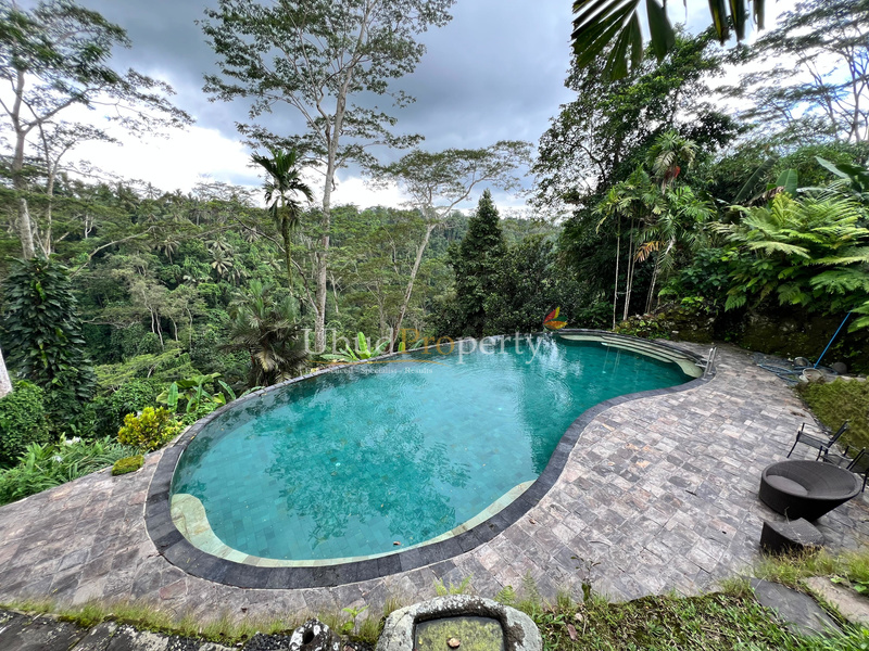 Ubud Property Villa For Sale in Ubud Bali