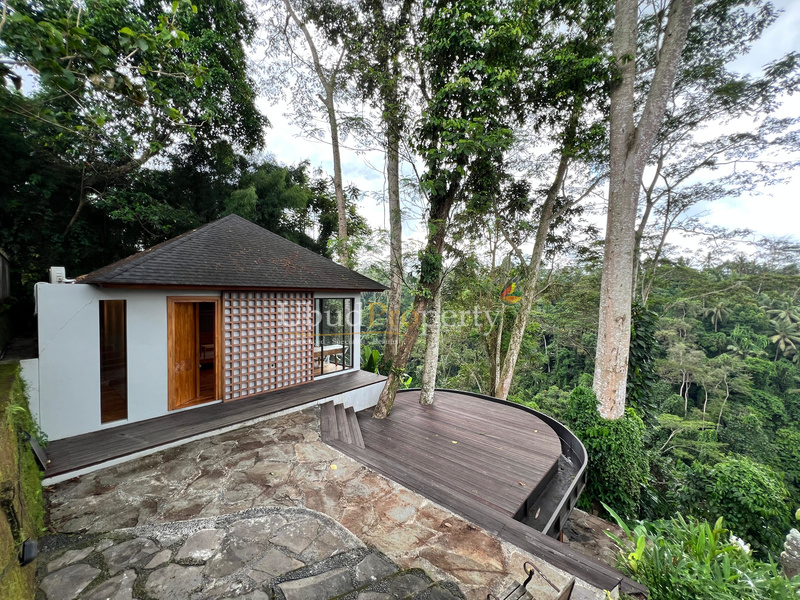 Ubud Property Villa For Sale in Ubud Bali