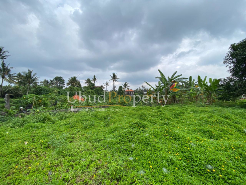Ubud Property Land For Sale in Ubud Bali