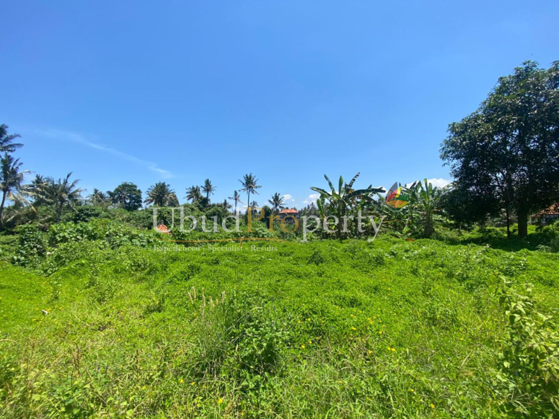 Ubud Property Land For Sale in Ubud Bali