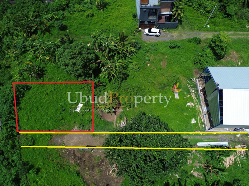 Ubud Property Land For Sale in Ubud Bali
