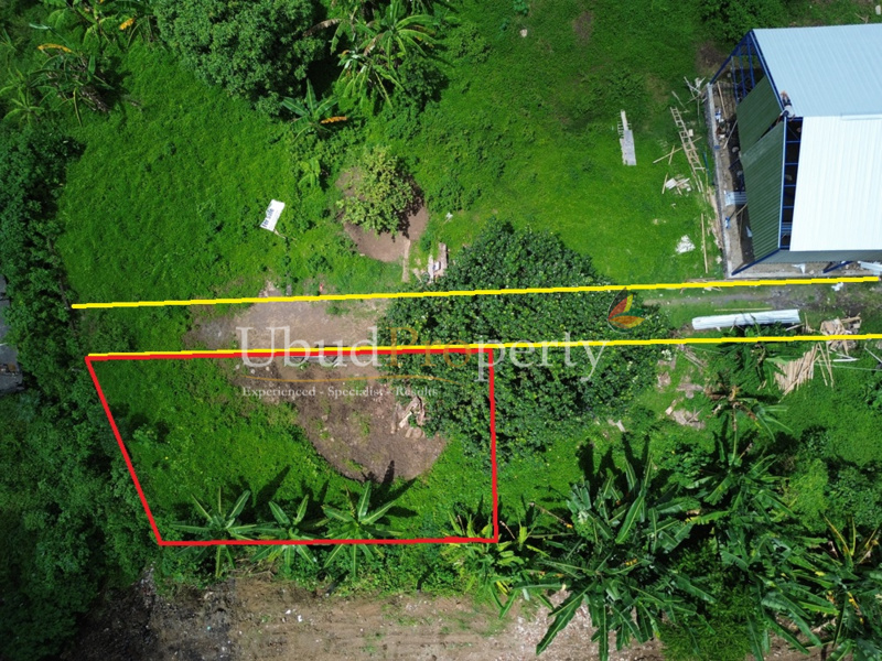Land For Sale Freehold in Ubud Bali