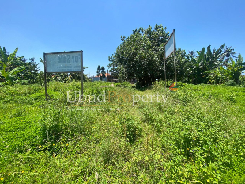 Ubud Property Land For Sale in Ubud Bali