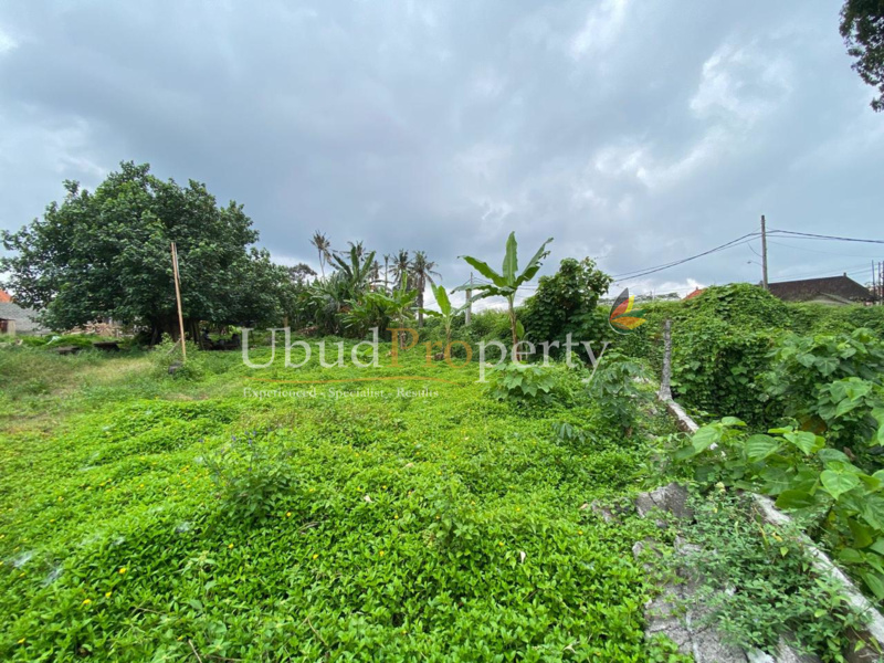 Ubud Property Land For Sale in Ubud Bali