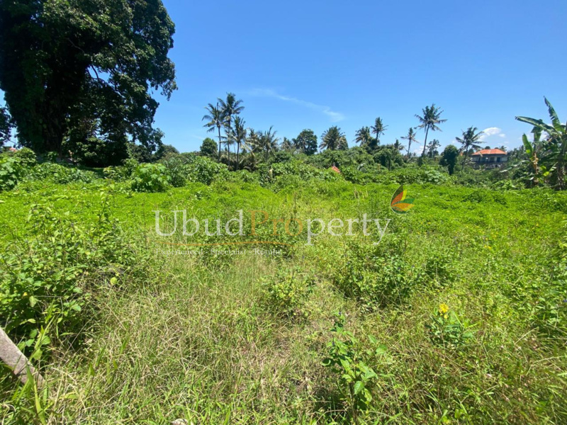Ubud Property Land For Sale in Ubud Bali
