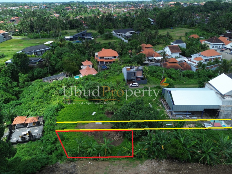 Ubud Property Land For Sale in Ubud Bali