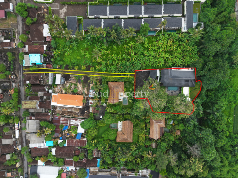 Ubud Property Villa For Sale in Ubud Bali