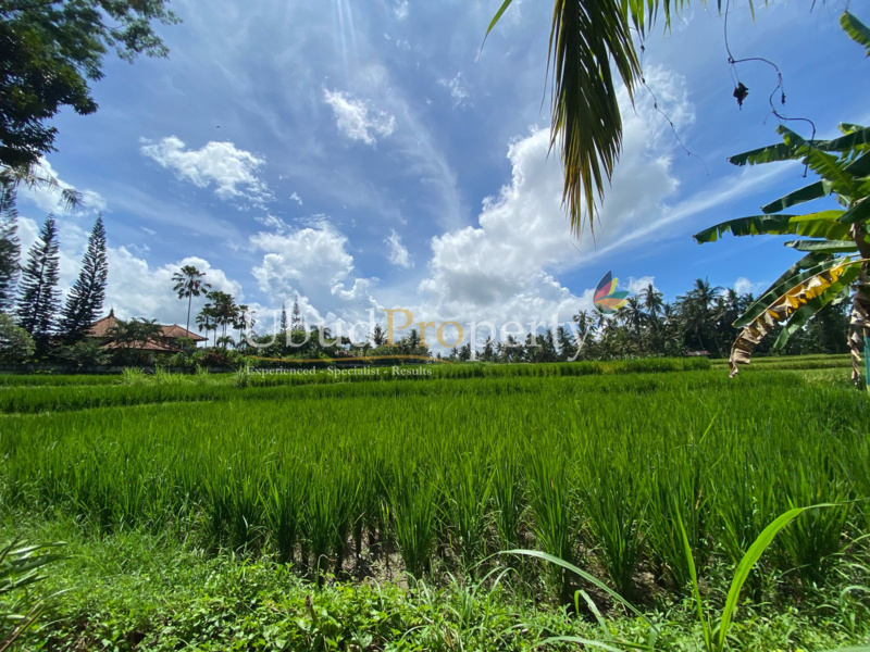 Ubud Property Land For Lease in Ubud Bali
