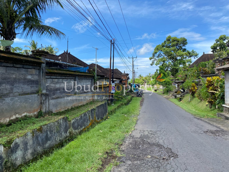 Ubud Property Land For Lease in Ubud Bali