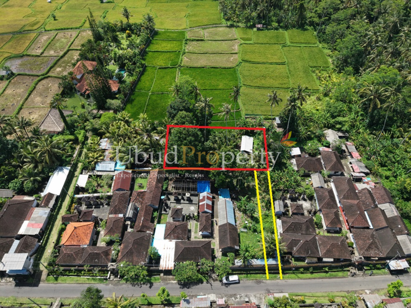 Ubud Property Land For Lease in Ubud Bali