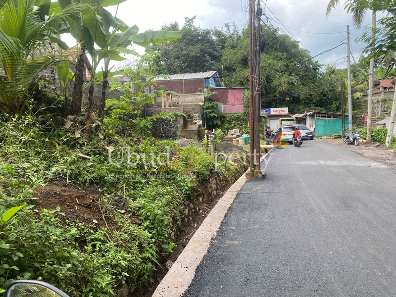 Ubud Property Land For Sale in Ubud Bali