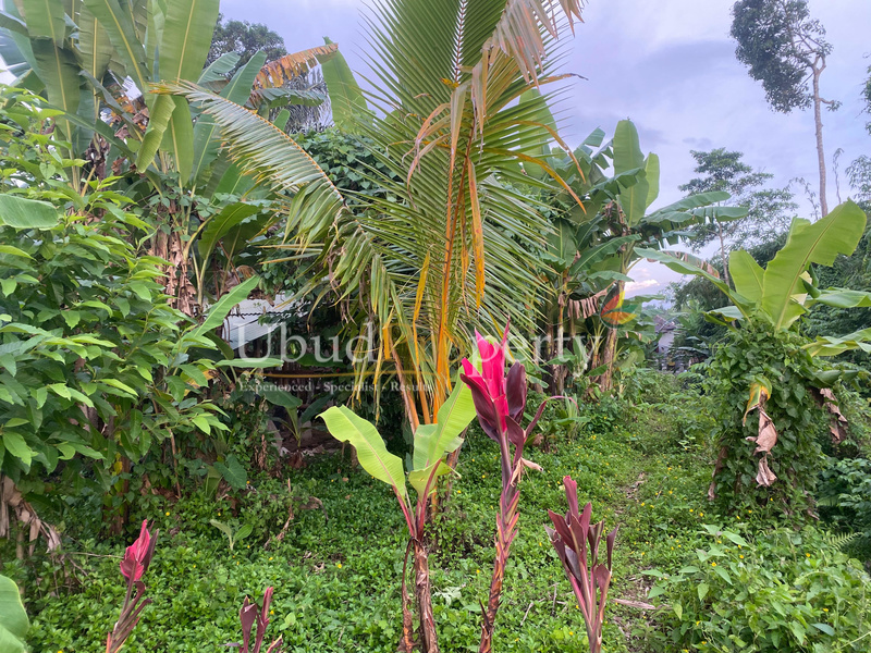 Ubud Property Land For Sale in Ubud Bali