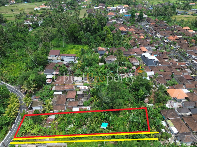 Ubud Property Land For Sale in Ubud Bali