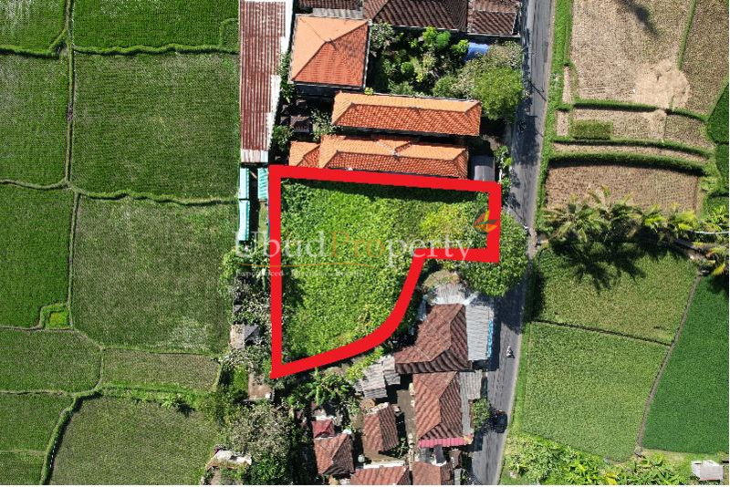 Land For Sale Leasehold in Ubud Bali