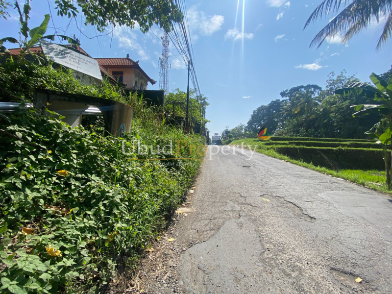Ubud Property Land For Sale in Ubud Bali
