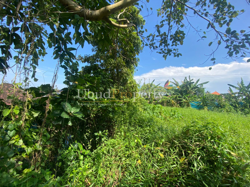 Ubud Property Land For Sale in Ubud Bali